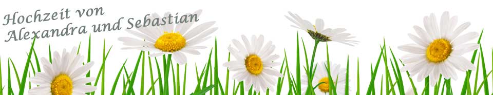 Hochzeit von Alexandra und Sebastian